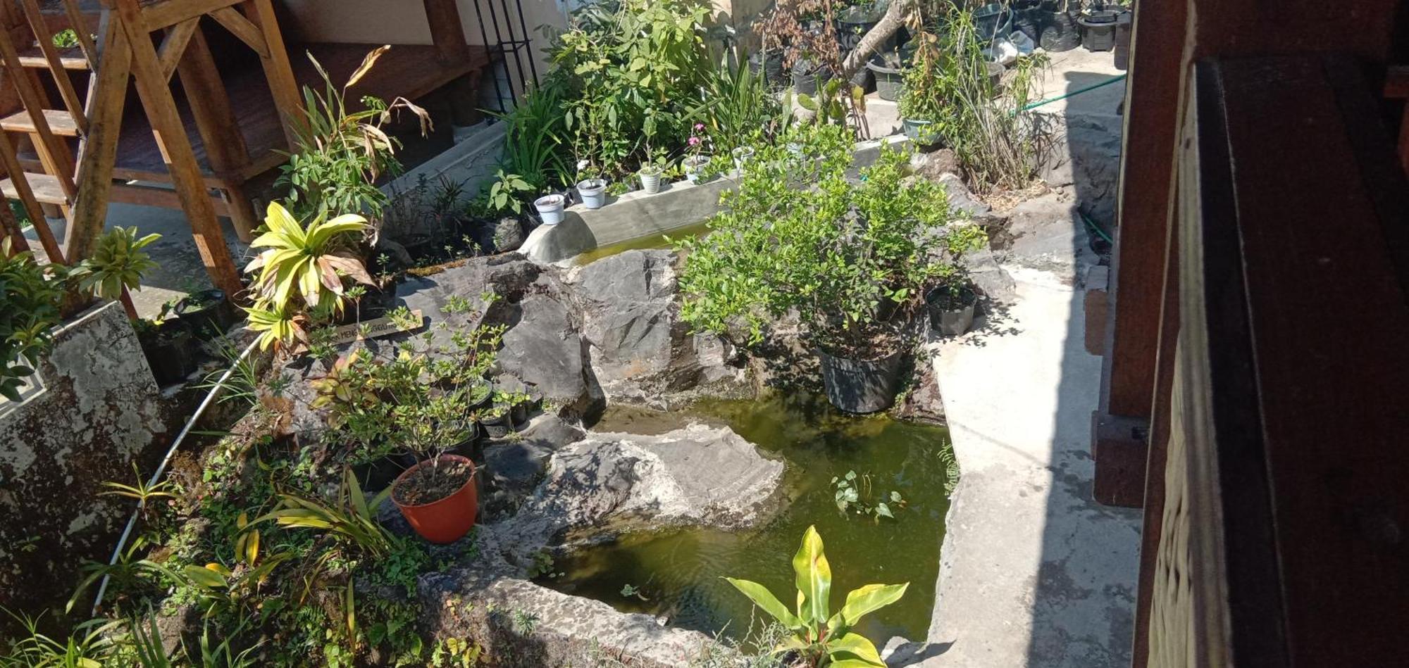 סמבלון לוואנג Radiya Guesthouse מראה חיצוני תמונה