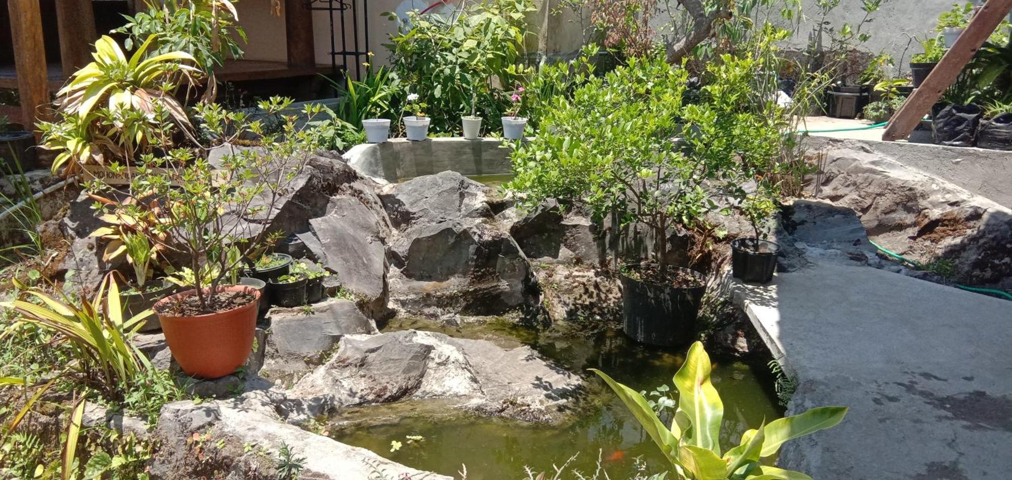 סמבלון לוואנג Radiya Guesthouse חדר תמונה